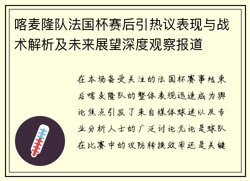 喀麦隆队法国杯赛后引热议表现与战术解析及未来展望深度观察报道